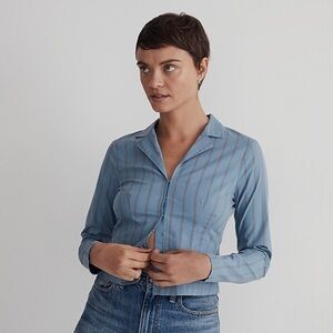 Madewell long sleeve blue stipe shirt.